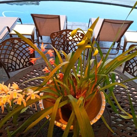Whale Rock Guest House เพลตเตนเบิร์กเบย์ ภายนอก รูปภาพ
